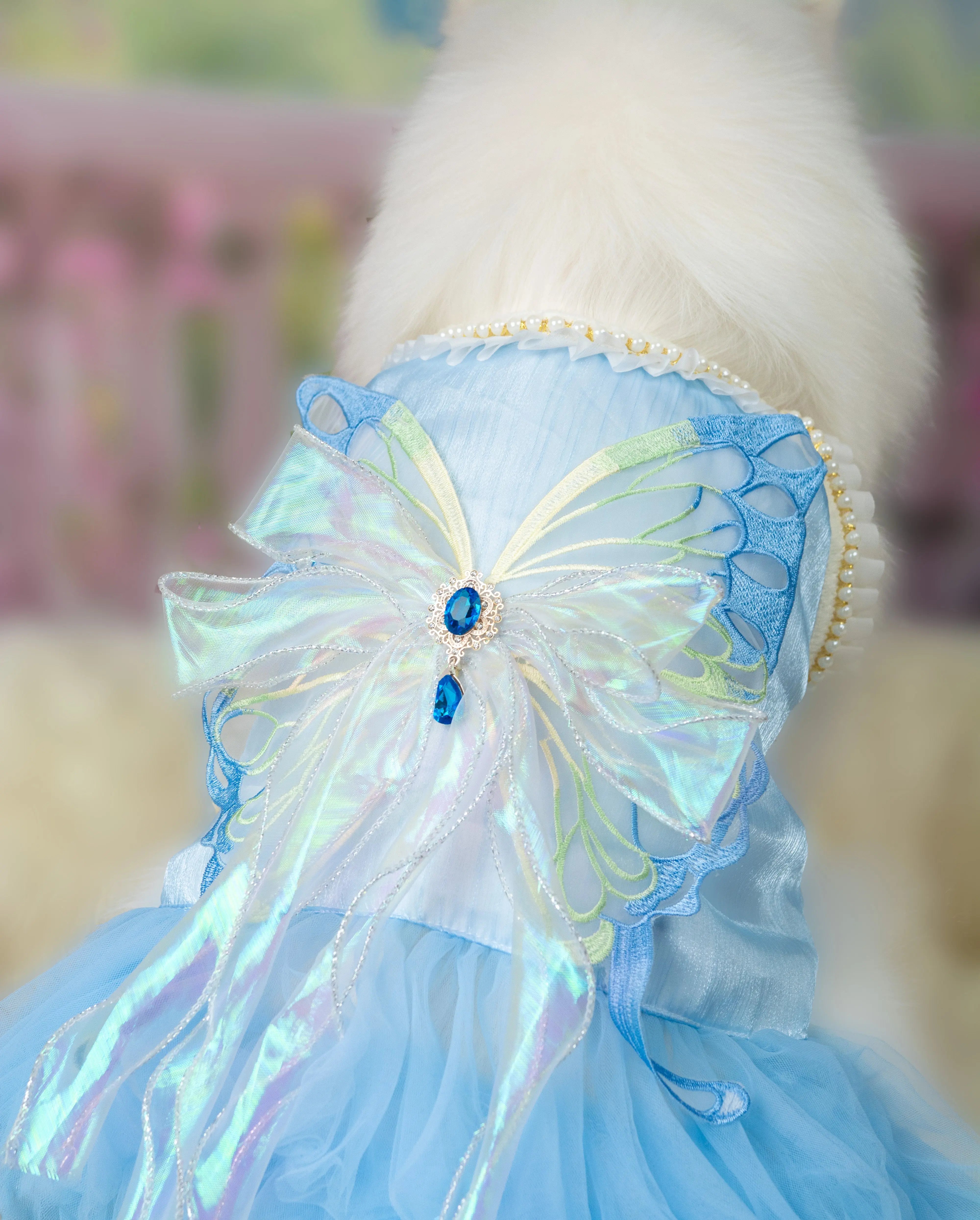 Dog wearing the Fluffit Fairydew iridescent blue butterfly-wing dress, close view